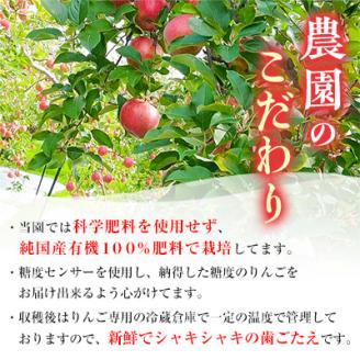 りんご「サンふじ」糖度14度以上保証 約3kg 訳あり 家庭用【配送不可 ...