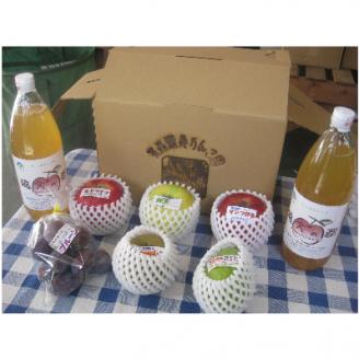 【2025年11月～2026年3月発送】季節のフルーツセット(約5kg)【配送不可地域：離島】