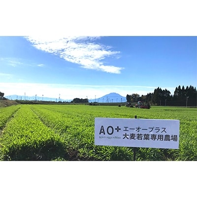 AO+　青森プロテオグリカン入り青汁