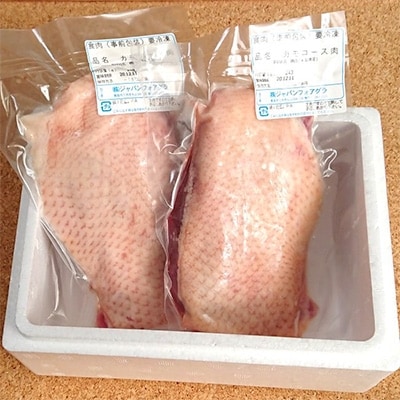 鴨ロースブロック(むね肉)約500g【配送不可地域：離島】