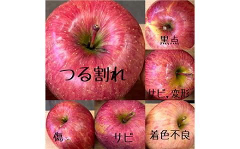お試し 規格外品 糖度13度以上保証 りんご サンふじ 訳あり 【今年のりんご品評会で最高賞】【配送不可地域：離島・沖縄県】