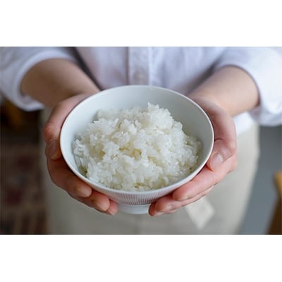 【五つ星お米マイスター厳選】青森県産　天匠米あさゆき　白米10kg