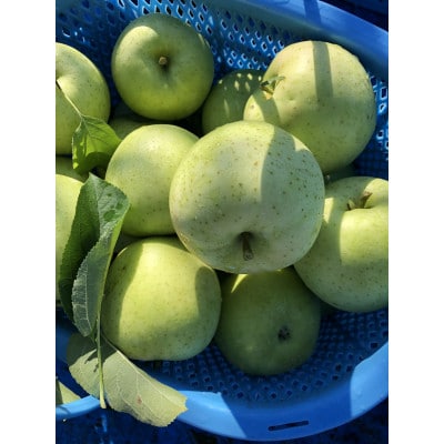 【2025年産】りんご 完熟葉とらずふじ・王林詰め合わせ 5kg (16～24玉)【配送不可地域：離島・沖縄県】