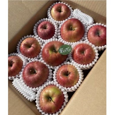 先行受付【青森市産・完熟葉とらずふじ】約3kg(家庭用)