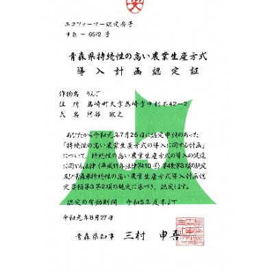 青森県産りんご　果汁100%りんごジュース3本