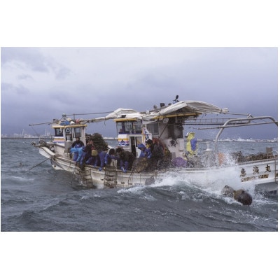 山神　漁師のほたてフライ1パック・ほたて飯の素2パックセット【配送不可地域：離島】