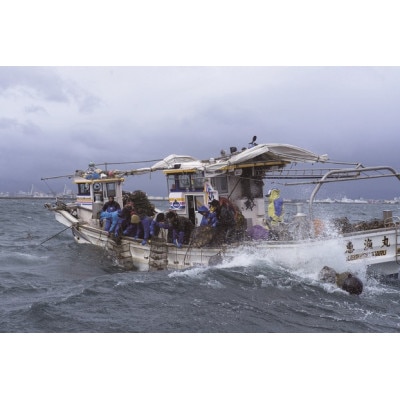 山神　漁師のほたてフライ2パック・ほたて飯の素4パックセット【配送不可地域：離島】