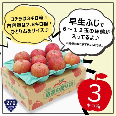 りんご 早生ふじ 先行受付 2022年産 青森県産 家庭用 2.8kg (6～12玉) 津軽産直組合【配送不可地域：離島】