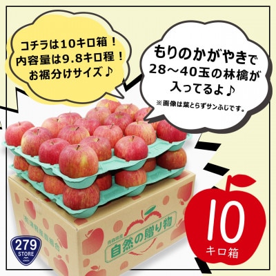 10月中旬頃発送 もりのかがやき 家庭用 10キロ箱 9.8kg 28～40玉 津軽りんご 産地直送【配送不可地域：離島】