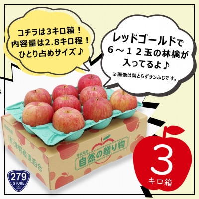 りんご レッドゴールド 先行受付 2022年産 家庭用 2.8kg (6～12玉) 津軽産直組合【配送不可地域：離島】
