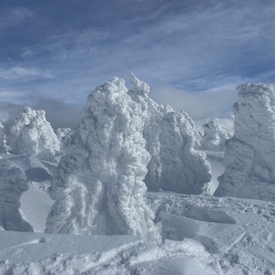 「手ぶらで」八甲田樹氷スノーシューツアー1名様【体験時間:約2時間】