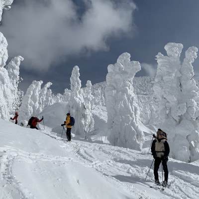 自分の足で登ろう!春の八甲田の大自然を満喫するスノーシューツアー1名様【体験時間:約6時間】