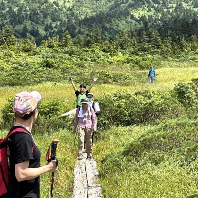 八甲田「毛無パラダイスライン」トレッキング1名様【体験時間:約5時間】