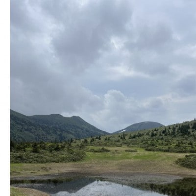 八甲田「ゴードライン」トレッキング1名様【体験時間:約2時間】