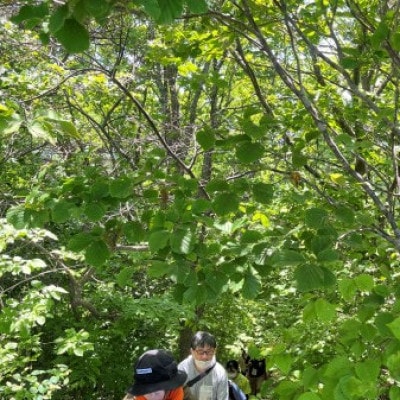 浅虫温泉森林浴ウォーク1名様【体験時間:約2時間】