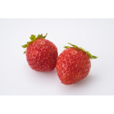 【先着50セット限定】青森県青森市産の夏いちご　400～500g/箱　冷蔵便で直送【配送不可地域：離島・沖縄県・九州】