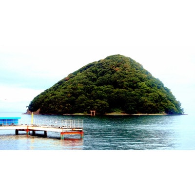 源泉かけ流し棟方志功ゆかりの宿　 浅虫湾を船舶で巡る2名1室1泊2食付き会席料理プラン