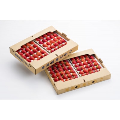 【先着50セット限定】青森県青森市産の希少いちご　400～500g/1箱　冷蔵便で直送【配送不可地域：離島・沖縄県・九州】