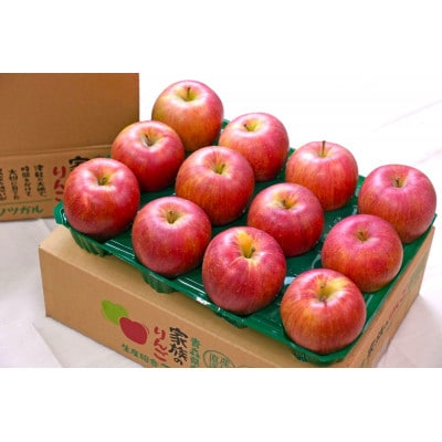 【25年8月より順次発送】品種おまかせ りんご 約3kg 訳あり クール便【配送不可地域：離島・沖縄県】