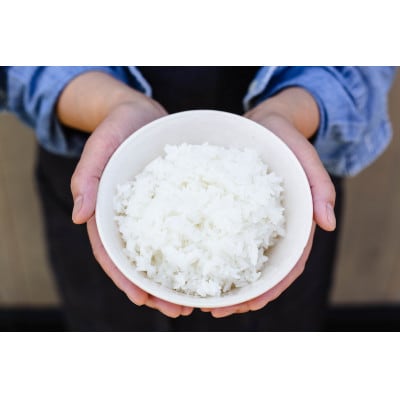 【五つ星お米マイスター厳選】青森県産　まっしぐら　白米10kg