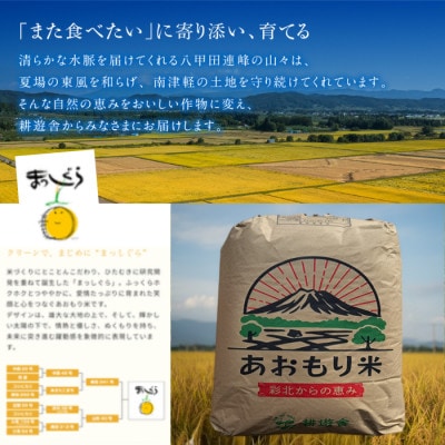 【先行予約受付】令和8年　青森県産まっしぐら　玄米10kg　彩北米【配送不可地域：離島・沖縄県】