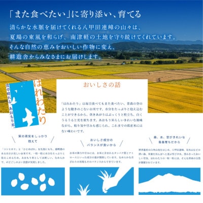 【先行予約受付】令和8年　青森県産はれわたり　玄米10kg　彩北米【配送不可地域：離島・沖縄県】