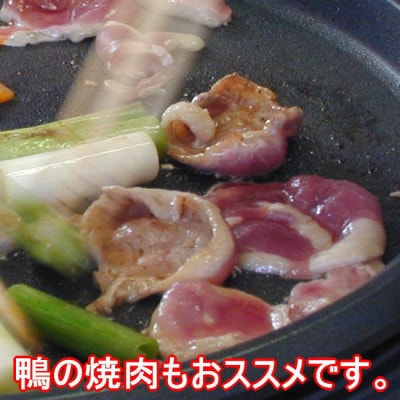 鴨ももスライス　計600g(150g×4パック)【配送不可地域：離島】