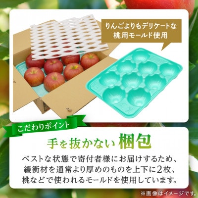 【希少品種が必ず2玉入る!】サンふじ+きみと 糖度14以上保証 計3kg 訳有 家庭用 品評会最高賞【配送不可地域：離島】