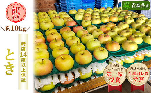 「とき」約10kg・糖度14度以上保証・訳あり家庭用りんご【配送不可地域：離島・沖縄県】