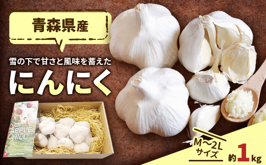 青森県産にんにく　M～2L約1kg