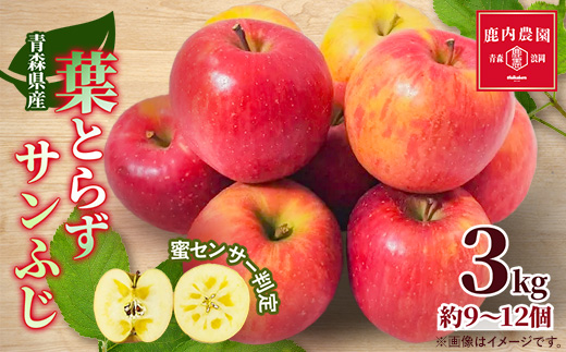 りんご 葉取らずふじ 蜜入判定 3kg (約9～12個)【配送不可地域：離島】