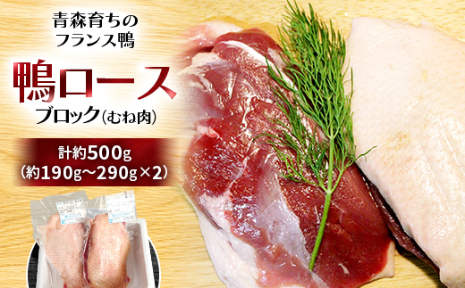 鴨ロースブロック(むね肉)約500g【配送不可地域：離島】