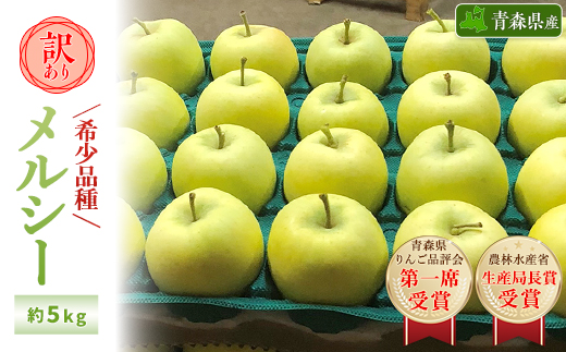 【希少品種】「メルシー」約5kg・訳あり家庭用りんご 青森市長賞受賞【配送不可地域：離島・沖縄県】