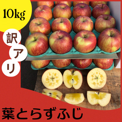 当園人気第1位!!【青森市産 完熟葉とらずふじ】　約10kg　32～43玉 (家庭用)【配送不可地域：離島】