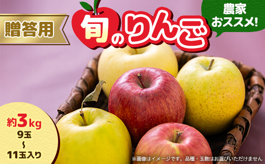 贈答用【2025年11月～2026年3月発送】農家おススメ!旬のりんご約3kg(9玉～11玉入り)【配送不可地域：離島】