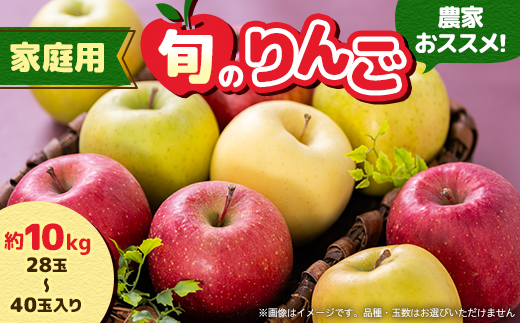 家庭用【2025年11月～2026年3月発送】農家おススメ!旬のりんご約10kg(28～40玉入り)【配送不可地域：離島】