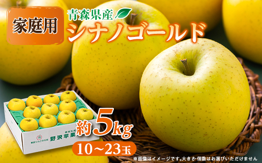 青森市産りんご「シナノゴールド」約5kg(家庭用)【配送不可地域：離島・沖縄県】