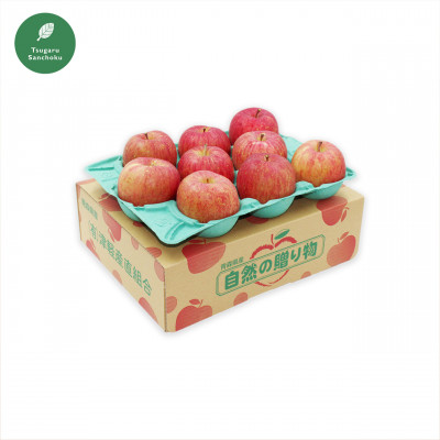 青森県産 サンふじ 3キロ箱 (6～12玉) 津軽産直組合から冷蔵便で直送♪【配送不可地域：離島】
