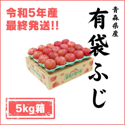 青森県産 有袋ふじ 5キロ箱 (14～20玉) 津軽産直組合から冷蔵便でお届け♪【配送不可地域：離島】