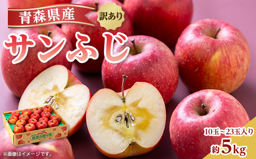 【令和7年1月下旬頃発送】産地直送 青森県産 訳ありサンふじ 5キロ箱 10～23玉 青森県産りんご【配送不可地域：離島・沖縄県】