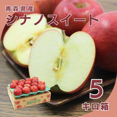 【10月下旬より発送開始】産地直送 青森県産シナノスイート 5キロ箱 10～23玉 青森県産りんご【配送不可地域：離島】