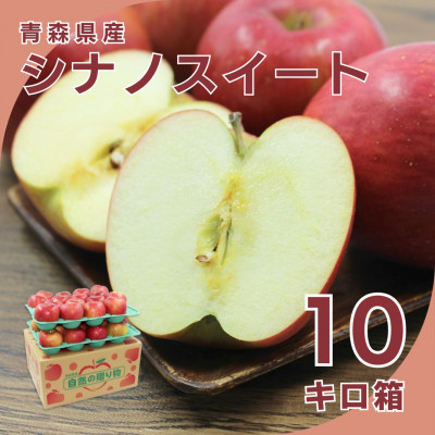 【10月下旬より発送開始】産地直送 青森県産シナノスイート 10キロ箱 28～46玉 青森県産りんご【配送不可地域：離島】