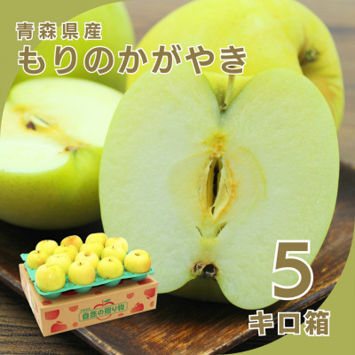 【10月下旬より発送開始】産地直送 青森県産もりのかがやき 5キロ箱 10～23玉 青森県産りんご【配送不可地域：離島】