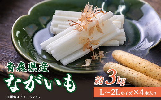 青森県産「ながいも」約3kg(L～2Lサイズ)×4本入り)