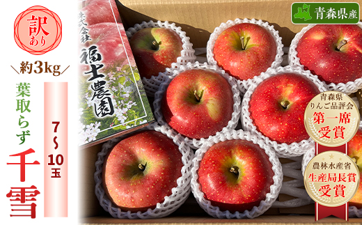 「葉取らず千雪」約3kg・訳あり家庭用りんご【配送不可地域：離島・沖縄県】