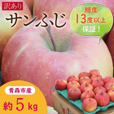 糖度13度以上サンふじ約5kg訳あり家庭用【配送不可地域：離島・沖縄県】