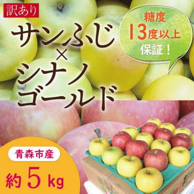 【CAりんご】糖度13度以上保証サンふじ×シナノゴールド約5kg訳あり家庭用【配送不可地域：離島・沖縄県】
