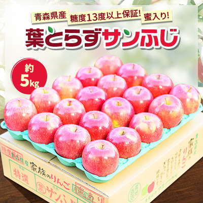 【青森市産】糖度13度以上保証!蜜入り!葉とらずサンふじ約5kg【配送不可地域：離島・沖縄県】