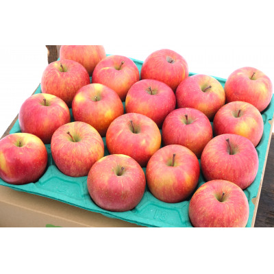 【青森市産】糖度13度以上保証!おもてなし用葉とらずサンふじ約5kg【配送不可地域：離島・沖縄県】