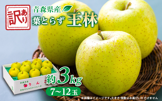 【訳ありりんご】青森市産葉取らず王林約3kg(お試し用)【配送不可地域：離島・沖縄県】